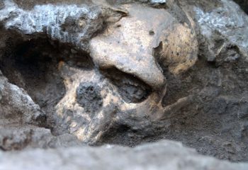 A Million-Year-Old Human Skull Has Prompted Scientists To Reconsider Early Human Evolution