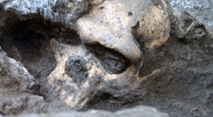 A Million-Year-Old Human Skull Has Prompted Scientists To Reconsider Early Human Evolution